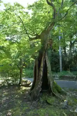 宇奈具志神社(新潟県)