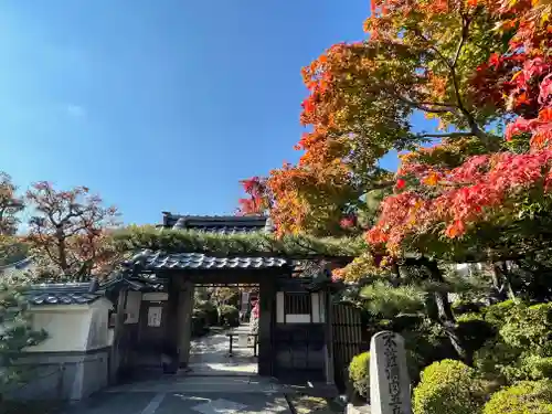 正法寺(京都府)
