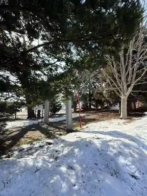 市渡稲荷神社・川濯神社の{uncategorized: "未分類", other: "その他", undefined: "問題あり", building: "その他建物", grave: "お墓", sacred_gate: "鳥居", guardian: "狛犬", statue: "像", buddha: "仏像", history: "歴史", nature: "自然", garden: "庭園", animal: "動物", pagoda: "塔", temizu: "手水舎", mountain_gate: "山門・神門", sanctuary: "本殿・本堂", subordinate: "末社・摂社", art: "芸術", scenery: "景色", jizo: "地蔵", ema: "絵馬", goshuin: "御朱印", omikuji: "おみくじ", items: "授与品その他", amulet: "お守り", goshuincho: "御朱印帳", eats: "食事", festival: "お祭り", votive_dance: "神楽", shichigosan: "七五三参", wedding: "結婚式", experience: "体験その他", initially: "初詣", around: "周辺", anti_infection: "感染症対策"}
