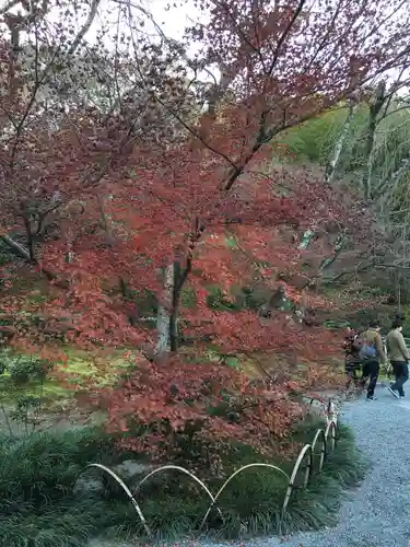 天龍寺(京都府)