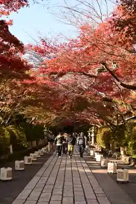 石山寺(滋賀県)