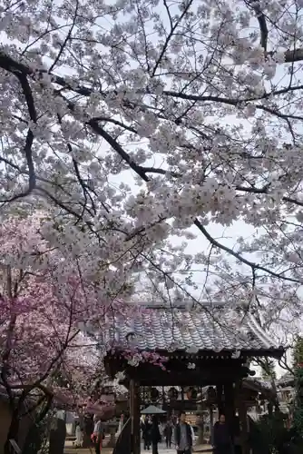 新井薬師（梅照院）の山門