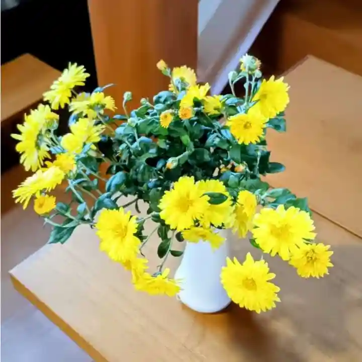 彌彦神社 (伊夜日子神社)の本殿・本堂