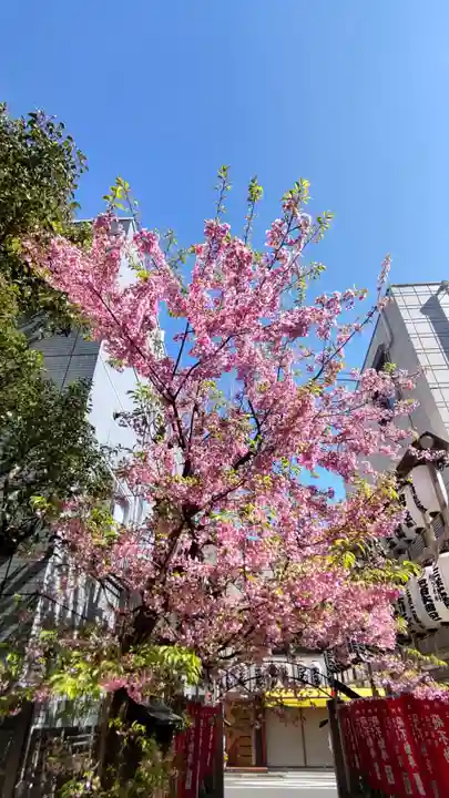 正寶院(飛不動尊)(東京都)