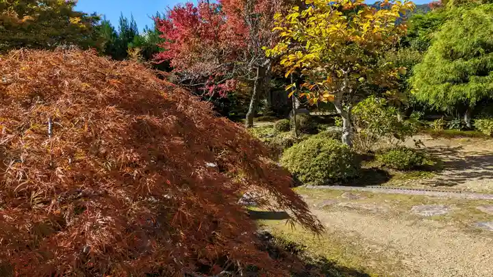 実光院(京都府)