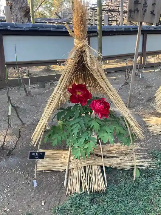 上野東照宮(東京都)