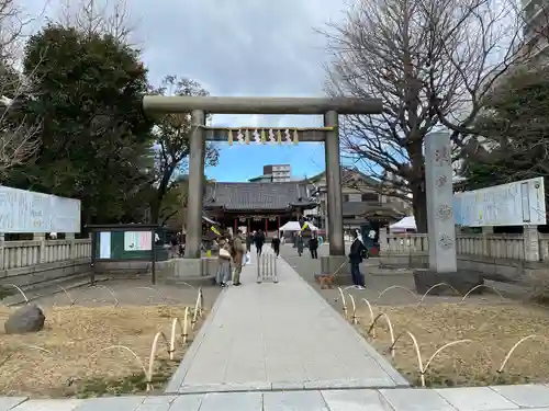 浅草神社の鳥居