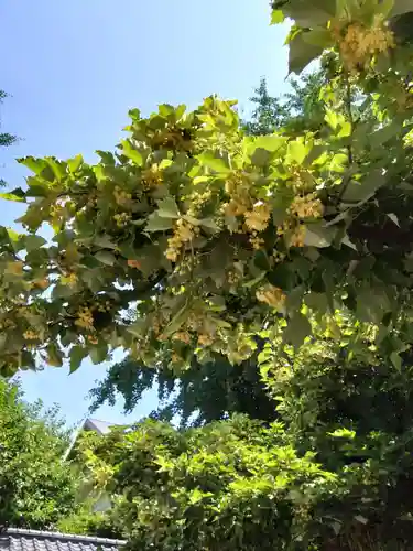 恵光院(福岡県)