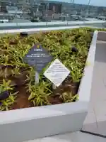 交通神社(宮崎県)