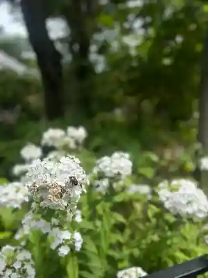 産泰神社(栃木県)