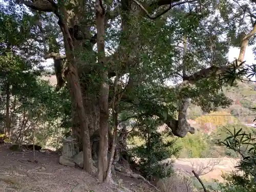 金刀比羅神社の自然