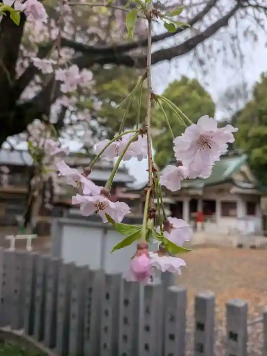 荻窪白山神社(東京都)