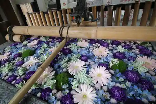 高円寺氷川神社の手水舎