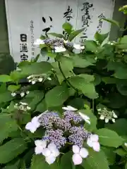 常泉院の自然