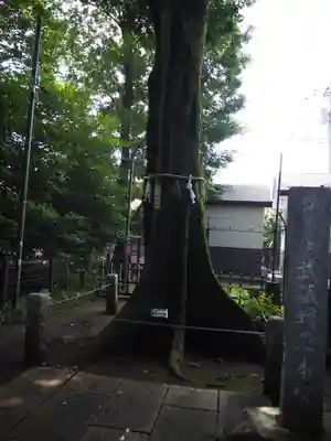 熊野宮(東京都)