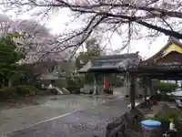 林光寺の山門・神門