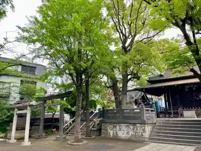 千住氷川神社(東京都)