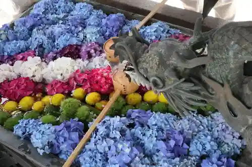 柳谷観音　楊谷寺の手水舎