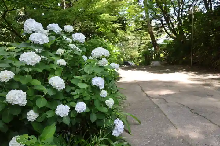 妙本寺(神奈川県)