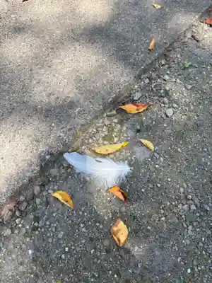 深谷山　瑠璃光寺(埼玉県)