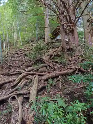 須佐之男神社(愛知県)