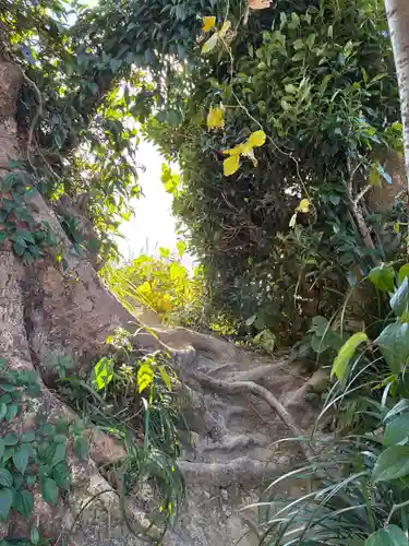 遠見岬神社(千葉県)