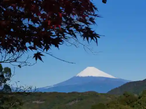 葭原観音堂の自然
