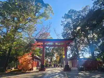 武蔵一宮氷川神社(埼玉県)