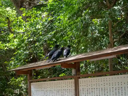 王子神社(東京都)
