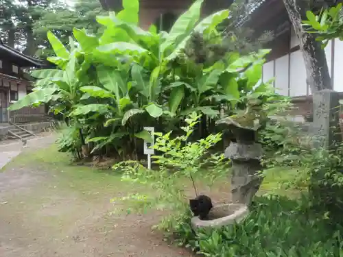 蚶満寺(秋田県)