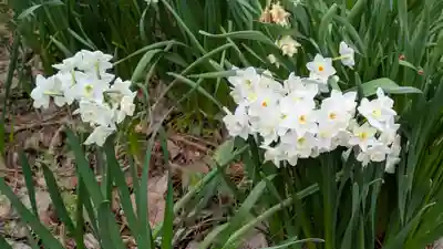 惠心院(京都府)