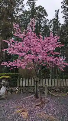 大歳神社(京都府)
