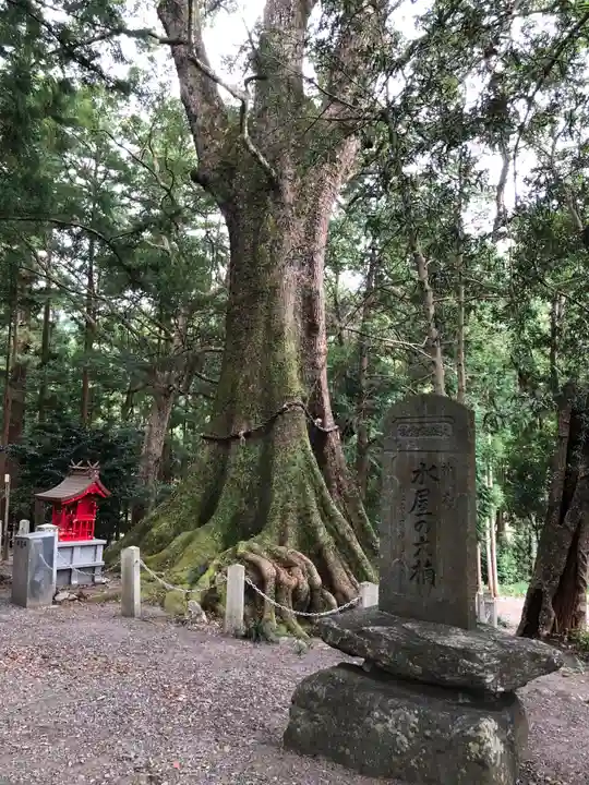 水屋神社の自然