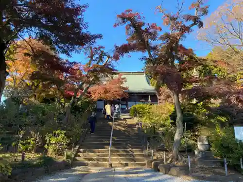 本土寺(千葉県)