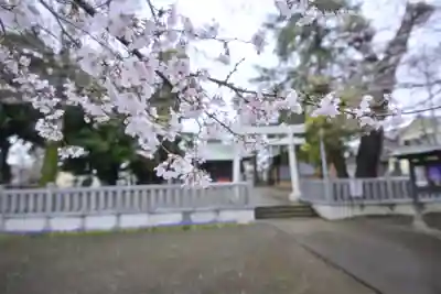 今泉神社(神奈川県)