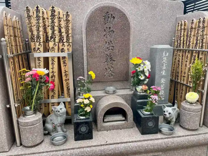 妙泉寺の{uncategorized: "未分類", other: "その他", undefined: "問題あり", building: "その他建物", grave: "お墓", sacred_gate: "鳥居", guardian: "狛犬", statue: "像", buddha: "仏像", history: "歴史", nature: "自然", garden: "庭園", animal: "動物", pagoda: "塔", temizu: "手水舎", mountain_gate: "山門・神門", sanctuary: "本殿・本堂", subordinate: "末社・摂社", art: "芸術", scenery: "景色", jizo: "地蔵", ema: "絵馬", goshuin: "御朱印", omikuji: "おみくじ", items: "授与品その他", amulet: "お守り", goshuincho: "御朱印帳", eats: "食事", festival: "お祭り", votive_dance: "神楽", shichigosan: "七五三参", wedding: "結婚式", experience: "体験その他", initially: "初詣", around: "周辺", anti_infection: "感染症対策"}