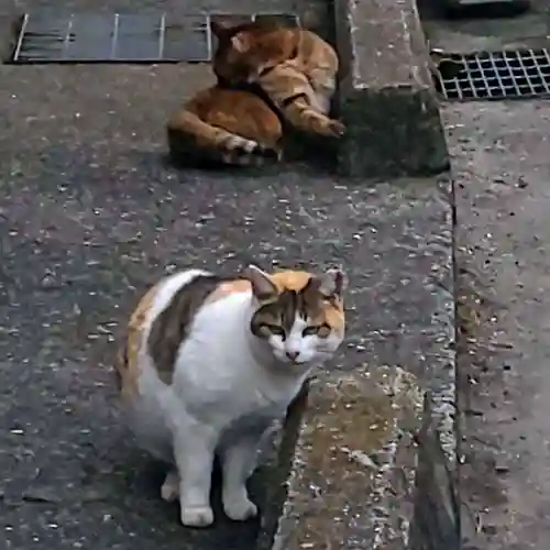 柴籬神社(大阪府)