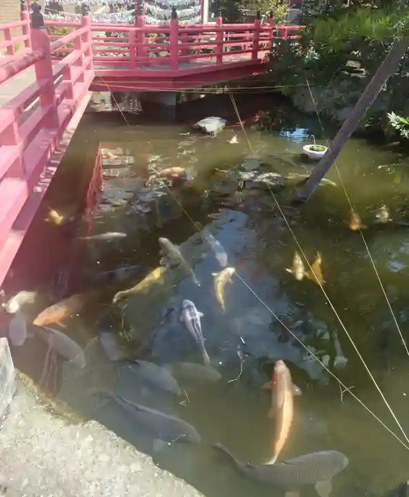 今泉八坂神社(栃木県)