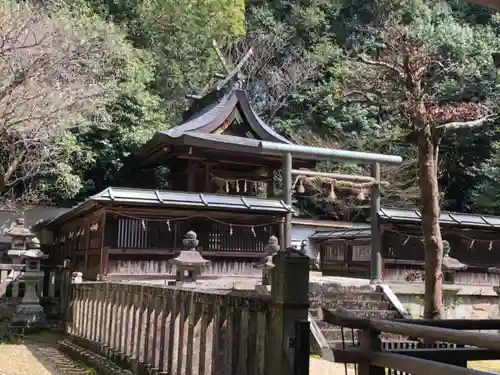 伊射奈岐神社の本殿