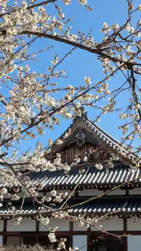 大松禅寺(京都府)