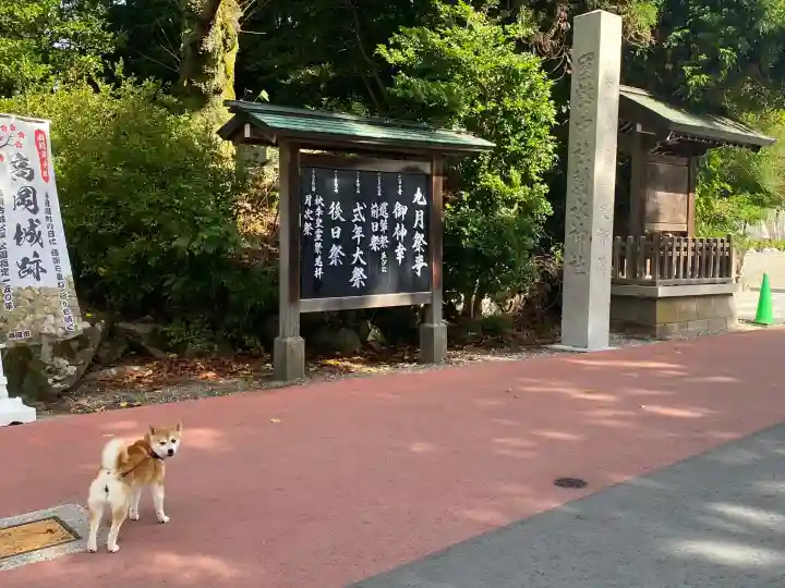 射水神社の{uncategorized: "未分類", other: "その他", undefined: "問題あり", building: "その他建物", grave: "お墓", sacred_gate: "鳥居", guardian: "狛犬", statue: "像", buddha: "仏像", history: "歴史", nature: "自然", garden: "庭園", animal: "動物", pagoda: "塔", temizu: "手水舎", mountain_gate: "山門・神門", sanctuary: "本殿・本堂", subordinate: "末社・摂社", art: "芸術", scenery: "景色", jizo: "地蔵", ema: "絵馬", goshuin: "御朱印", omikuji: "おみくじ", items: "授与品その他", amulet: "お守り", goshuincho: "御朱印帳", eats: "食事", festival: "お祭り", votive_dance: "神楽", shichigosan: "七五三参", wedding: "結婚式", experience: "体験その他", initially: "初詣", around: "周辺", anti_infection: "感染症対策"}