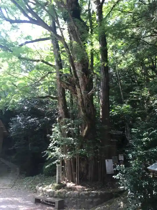 岩屋神社(福岡県)