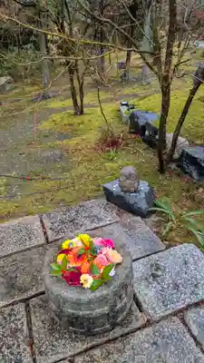 勝林寺(京都府)