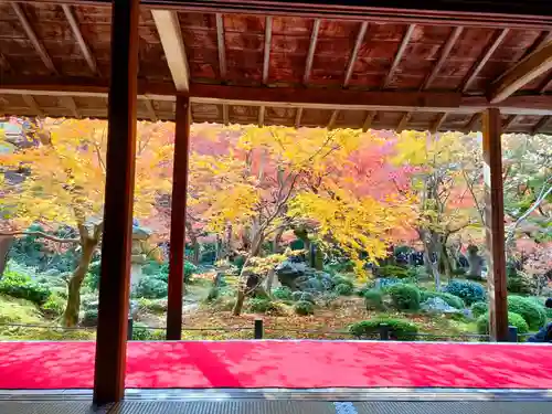 圓光寺(京都府)