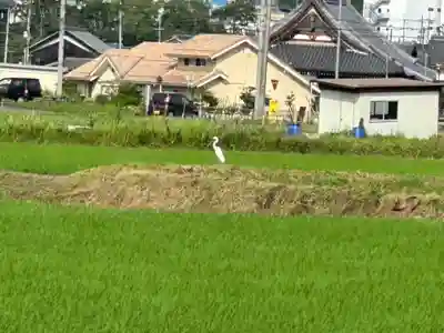 檜尾神社(滋賀県)