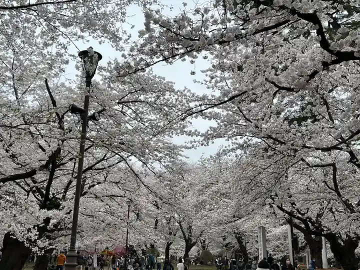 武蔵一宮氷川神社(埼玉県)