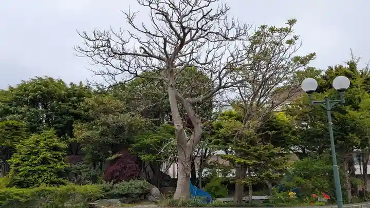 量徳寺(北海道)