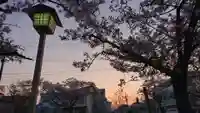 尾張大國霊神社(国府宮)の自然