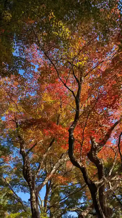 苗秀寺(京都府)