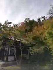 長谷寺の建物その他